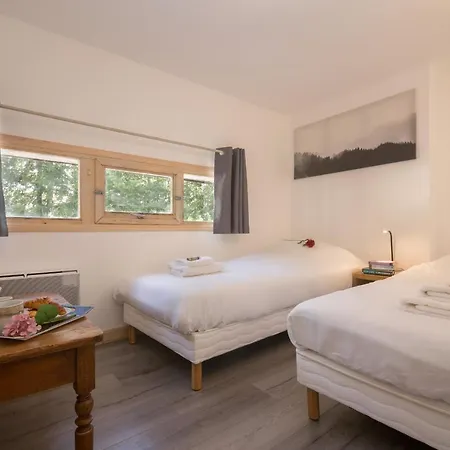 Sainte-foy-l'argentiere Sleeps 4 * Chamonix
